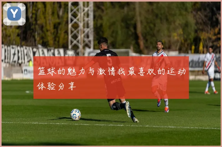 篮球的魅力与激情我最喜欢的运动体验分享