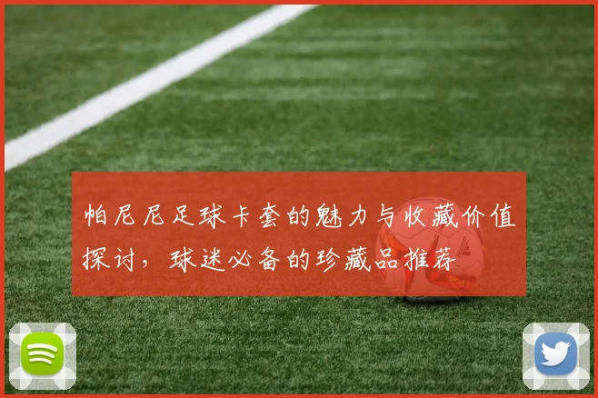 帕尼尼足球卡套的魅力与收藏价值探讨，球迷必备的珍藏品推荐