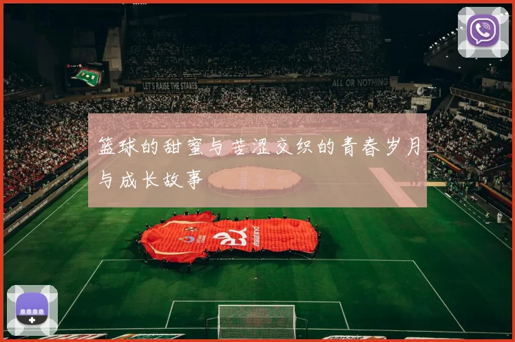 篮球的甜蜜与苦涩交织的青春岁月与成长故事