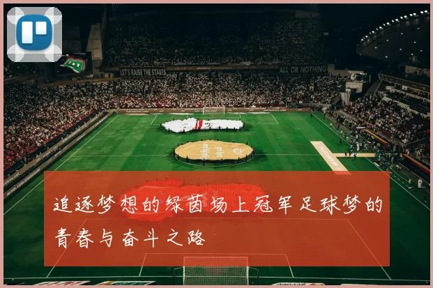 追逐梦想的绿茵场上冠军足球梦的青春与奋斗之路